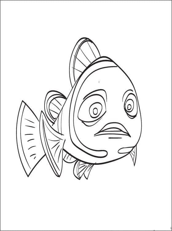 Nemo Warna Oranye Muda