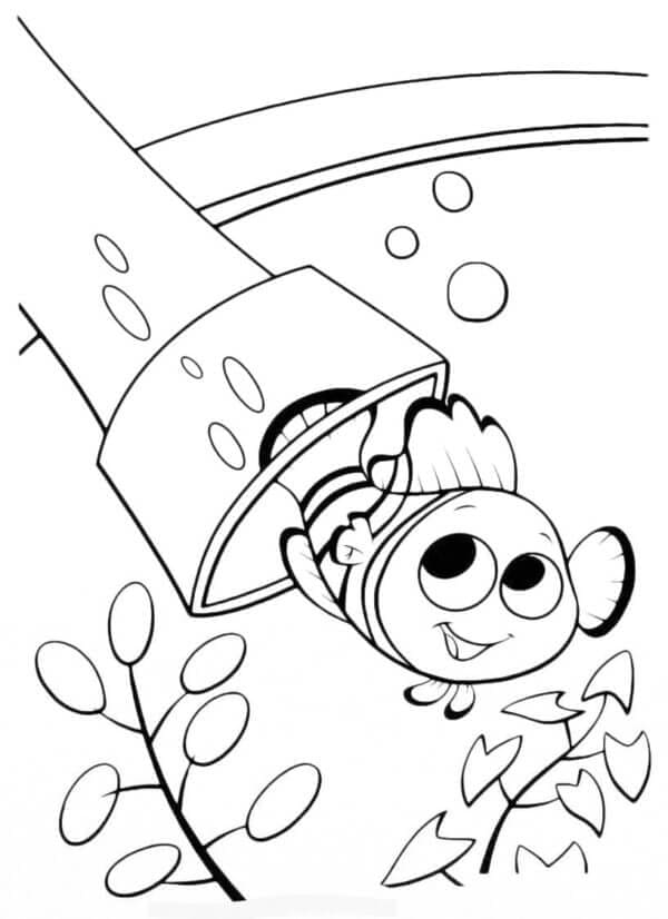 Petualangan Aneh Nemo