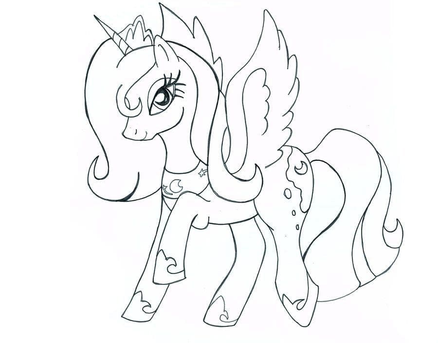 Putri Kuda Poni Luna