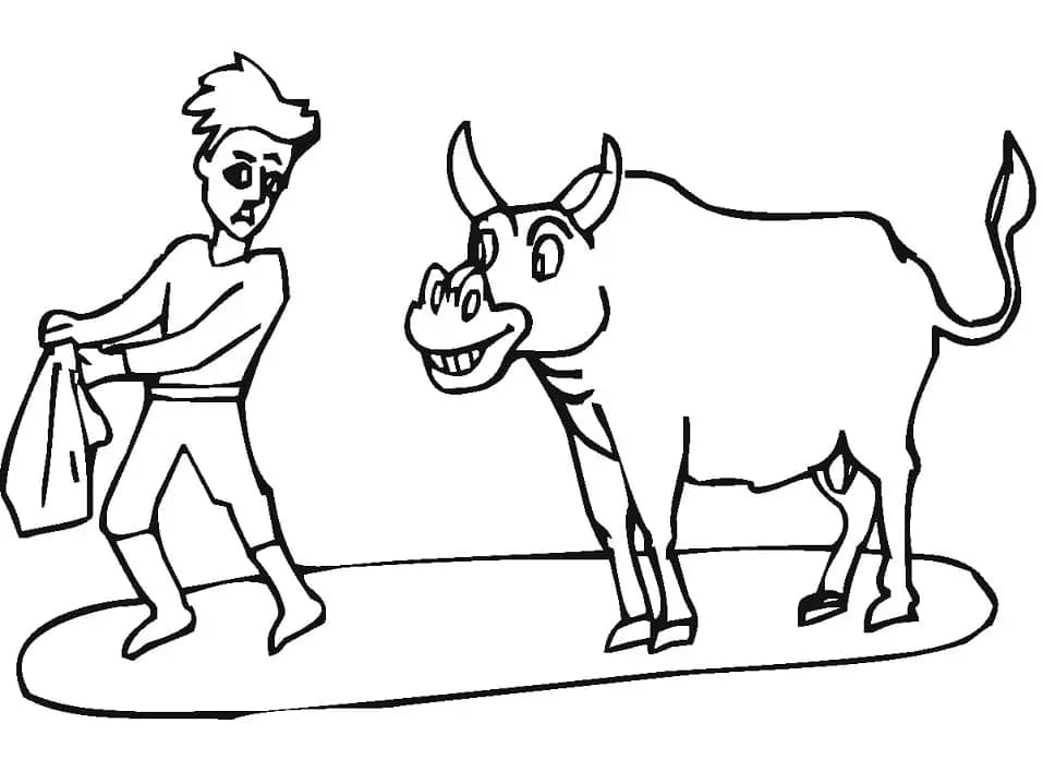 Toreador dan Banteng