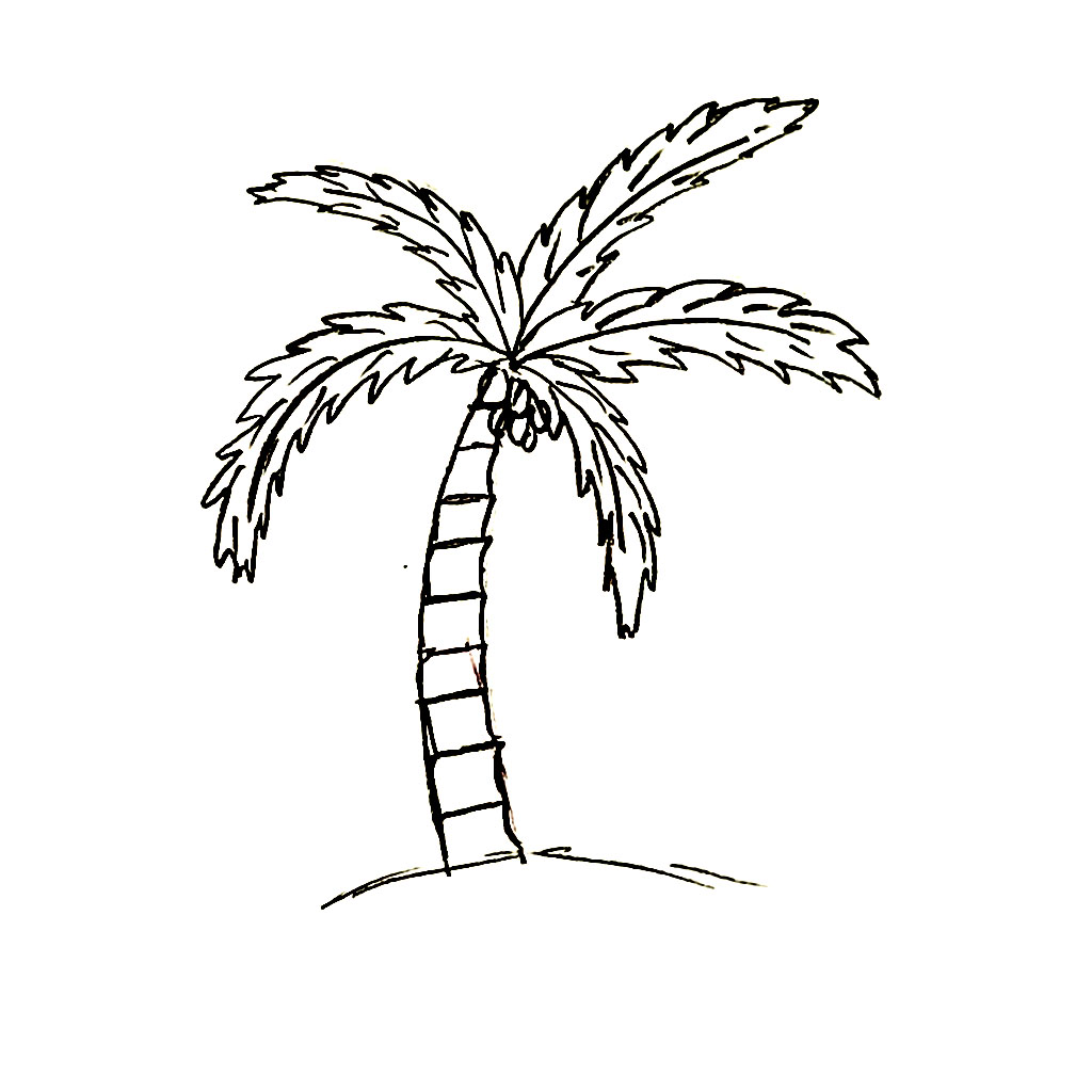 Menggambar pohon kelapa