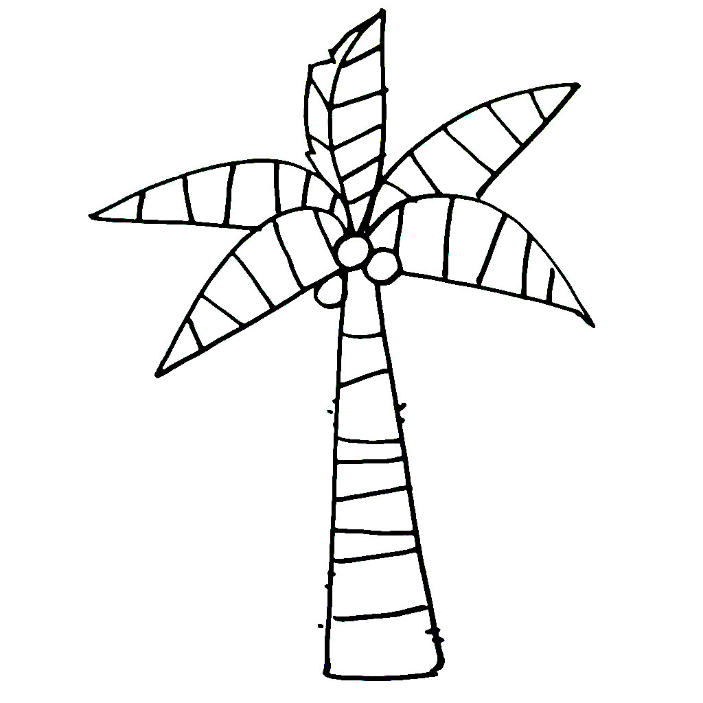 Pohon kelapa super mudah