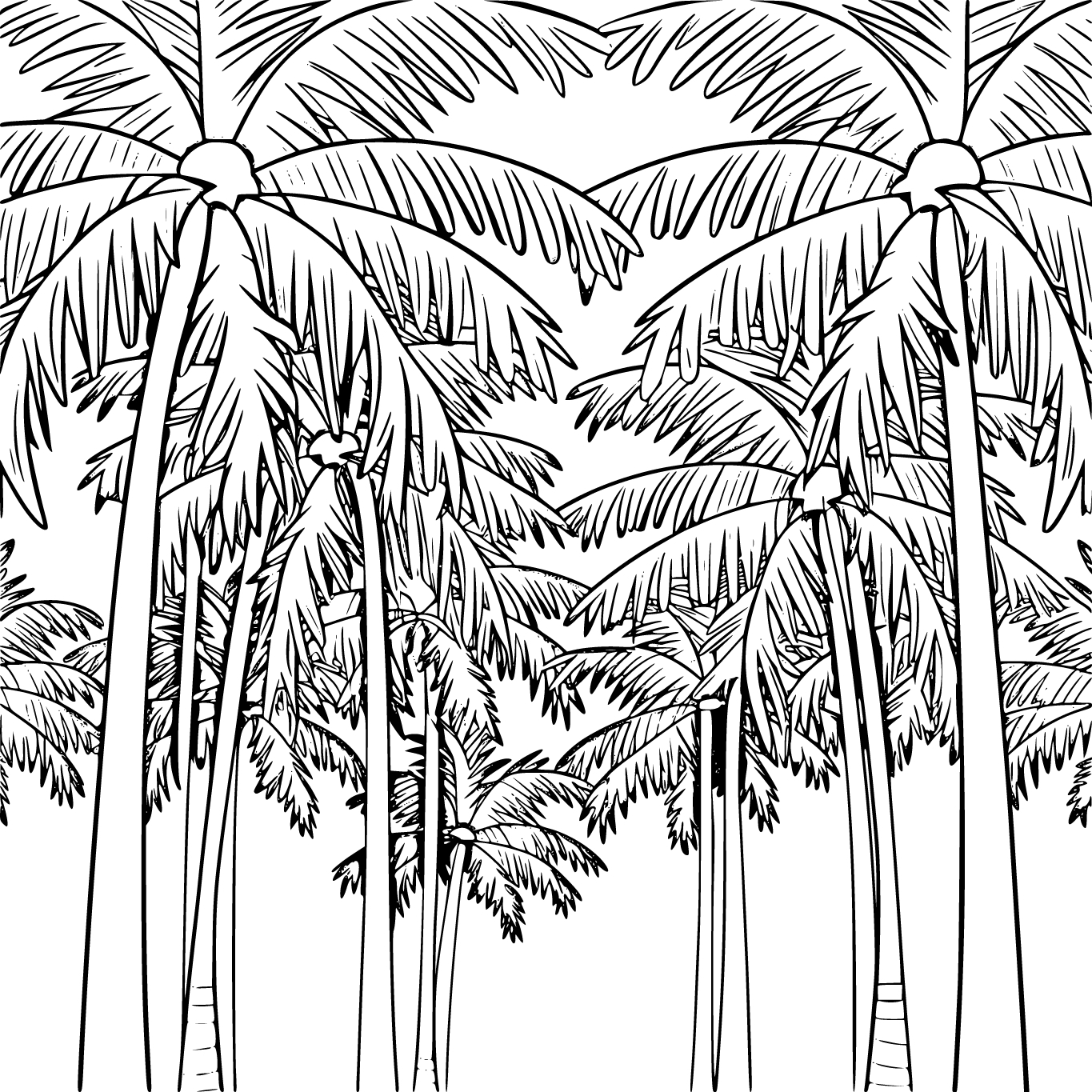 Pohon kelapa yang indah