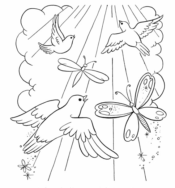 Burung dan kupu-kupu terbang ke surga