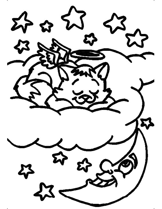 Malaikat kucing sedang tidur