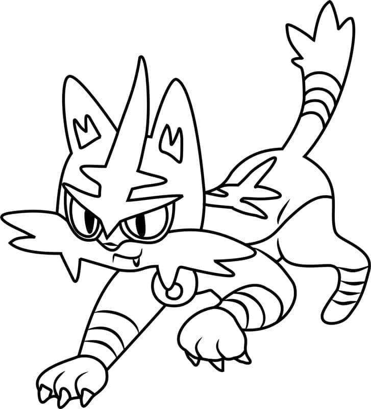 Torracat Pokemon