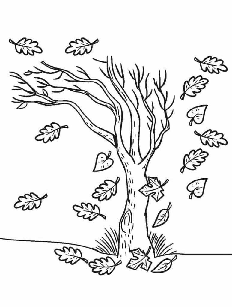 Batang Pohon dengan Daun