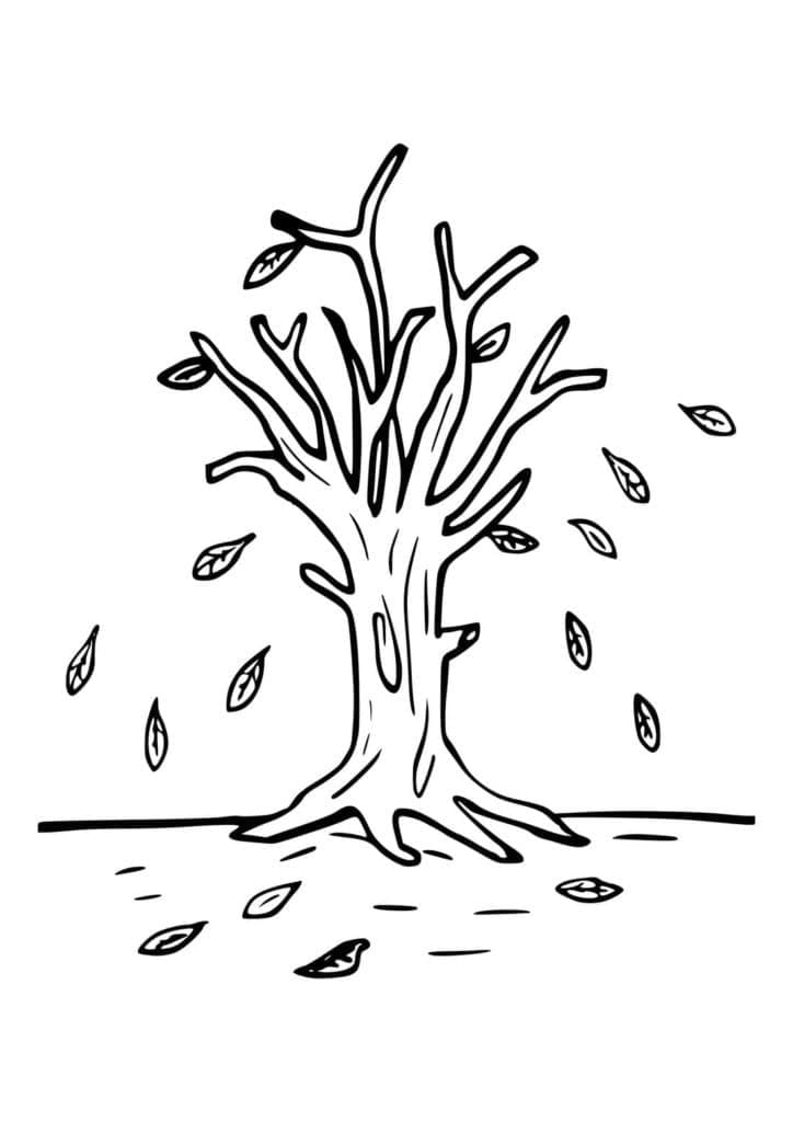 Batang Pohon di Musim Gugur