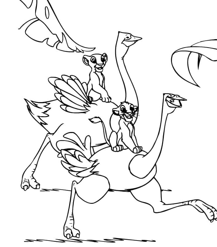 Berlari Dengan Burung Unta