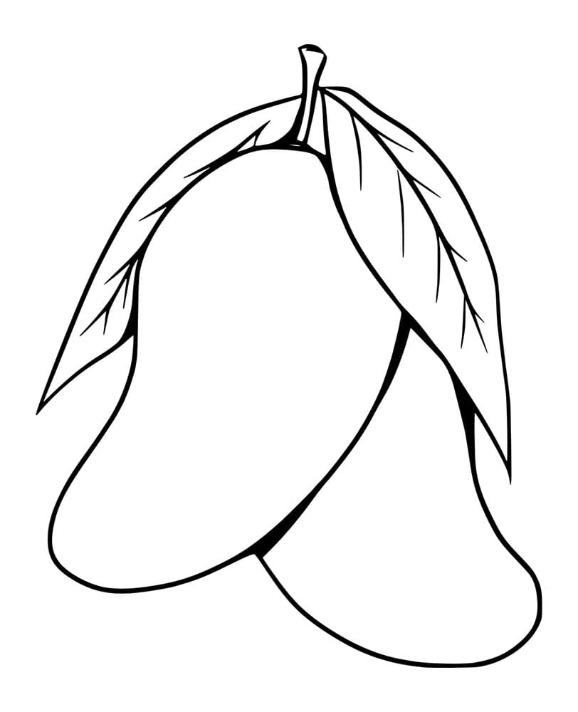 Dua Mangga dengan Daun