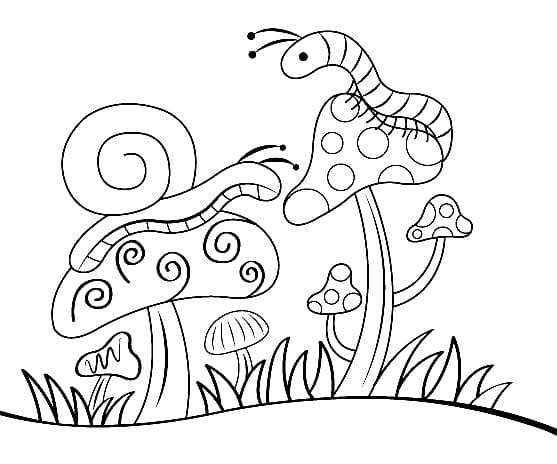 Jamur dengan Siput dan Ulat