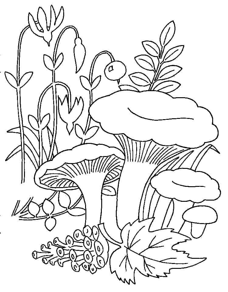 Jamur Indah dengan Bunga