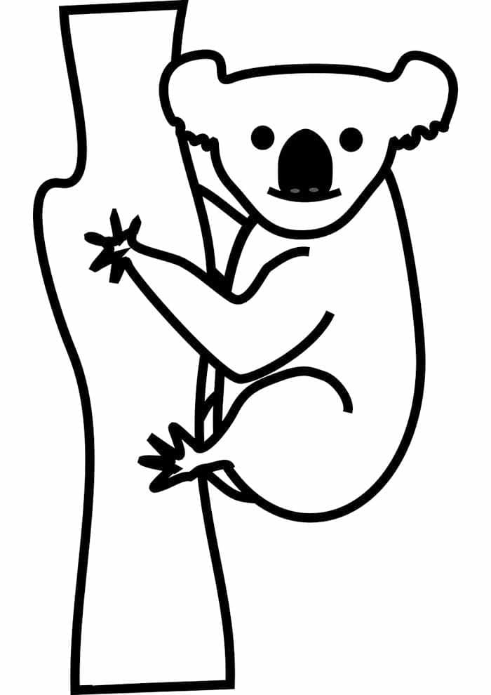 Koala di Batang Pohon