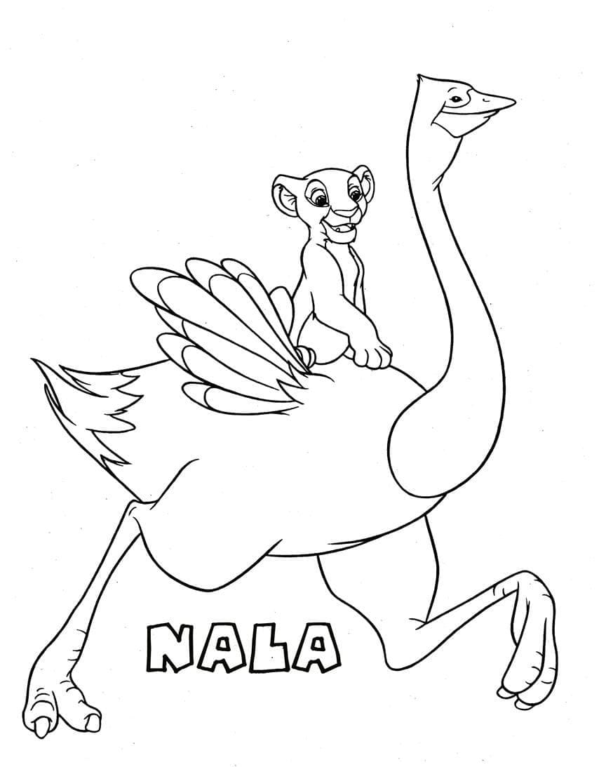 Nala Berlari Bersama Burung Unta