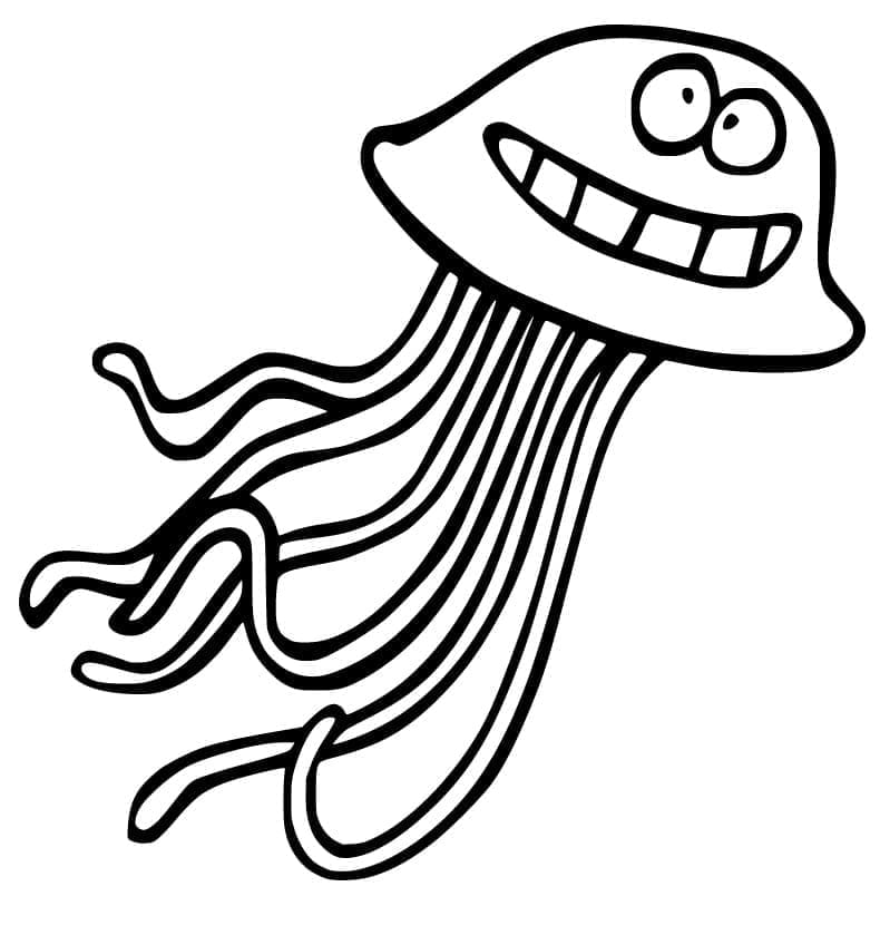 Gambar Ubur Ubur yang Lucu