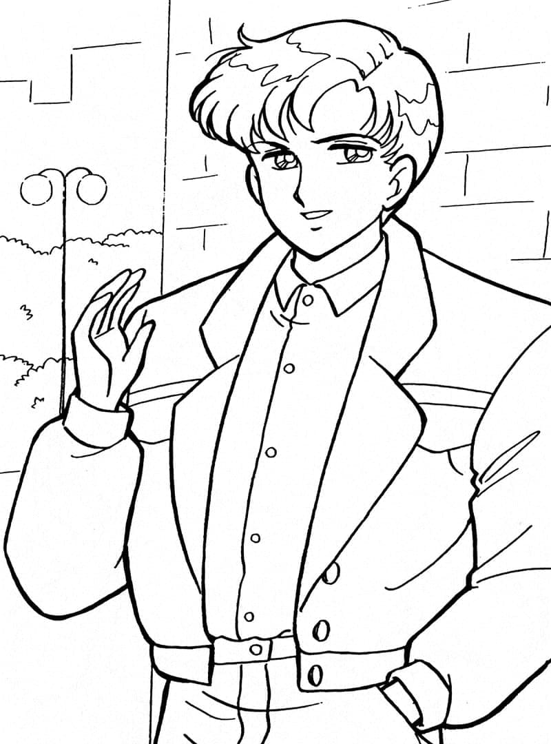 Mamoru Chiba di Sailor Moon