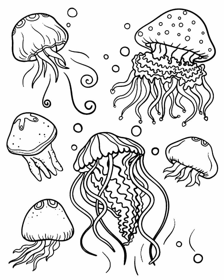 Ubur Ubur Di Bawah Laut