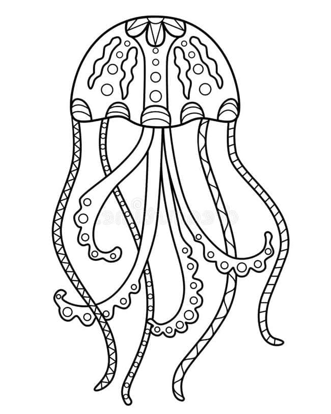 Ubur Ubur yang bagus