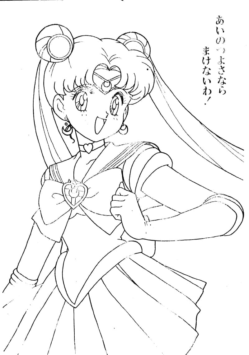 Usagi Tsukino Sailor Moon
