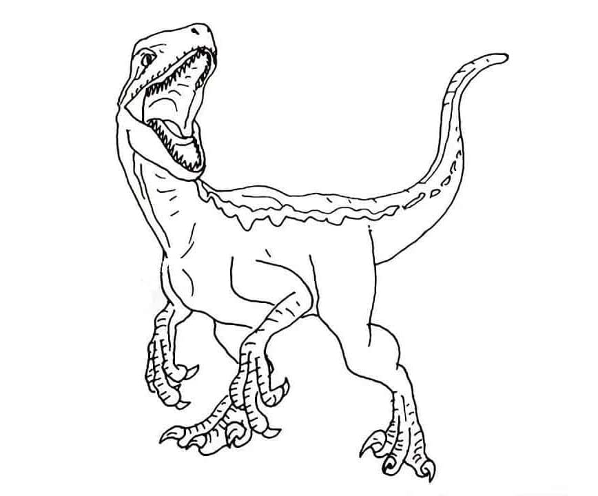Jurassic World Velociraptor