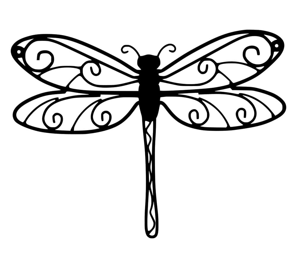 Capung Cantik Sederhana