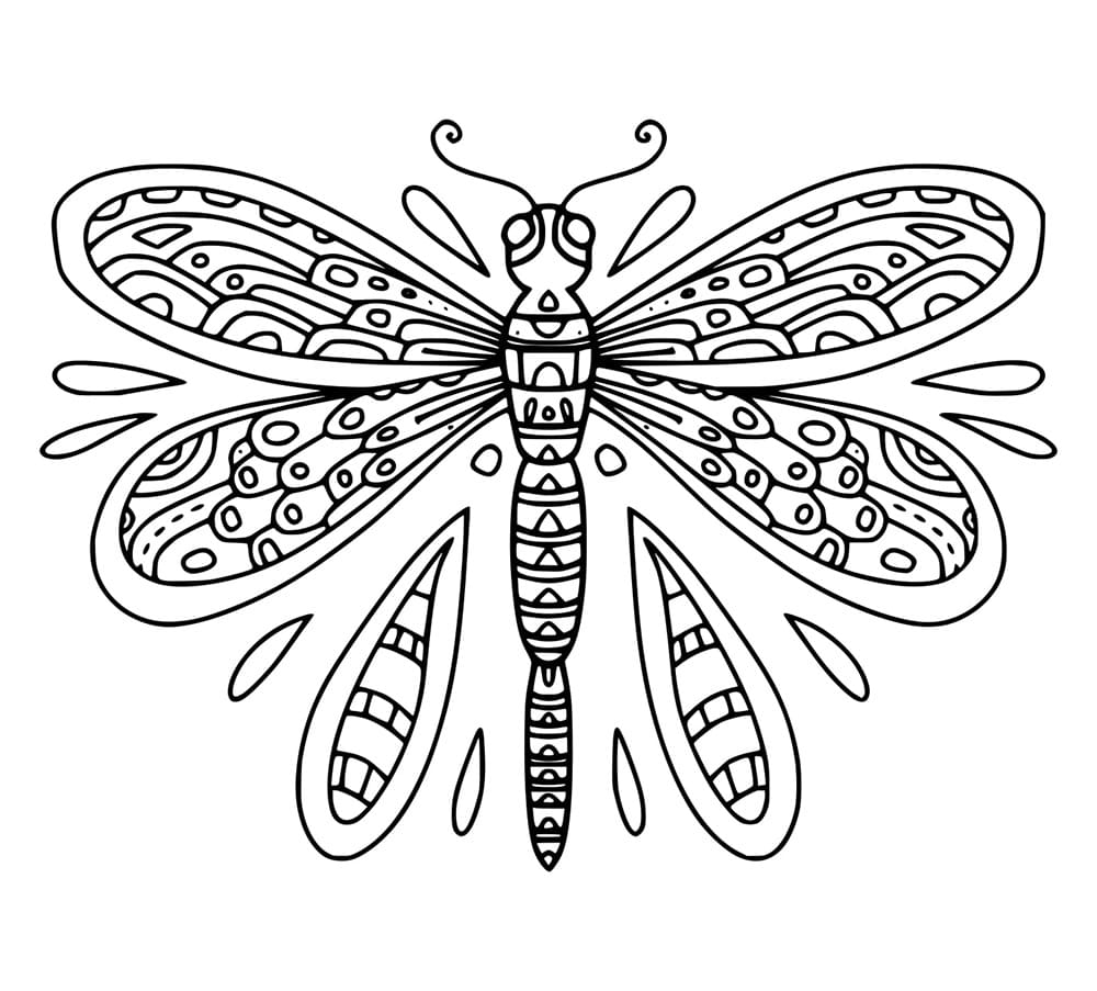 Capung dan Tetesan Air