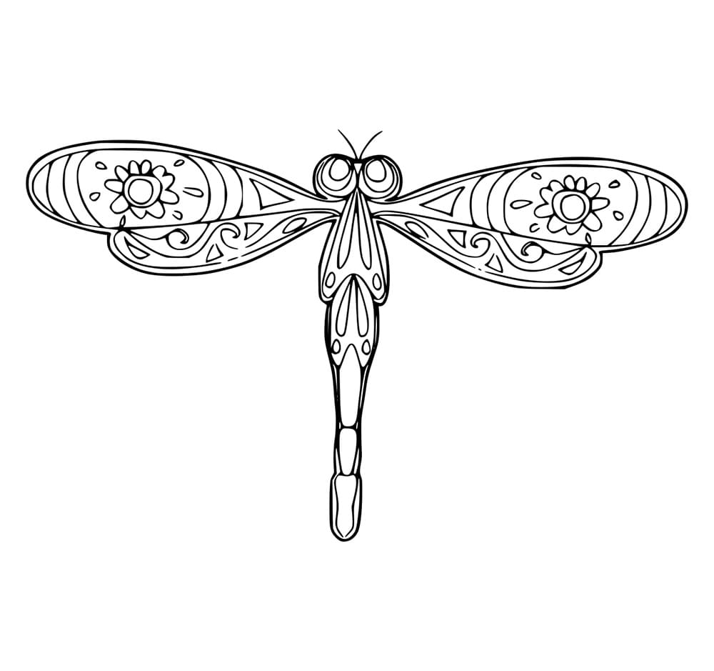 Capung dengan Pola Bunga