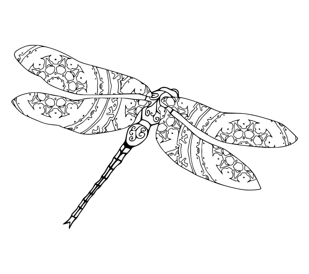 Capung dengan Sayap Indah