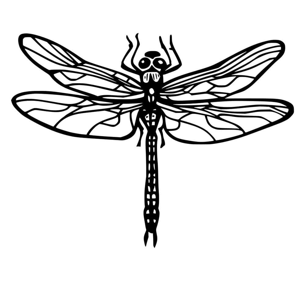 Capung Hitam dan Putih