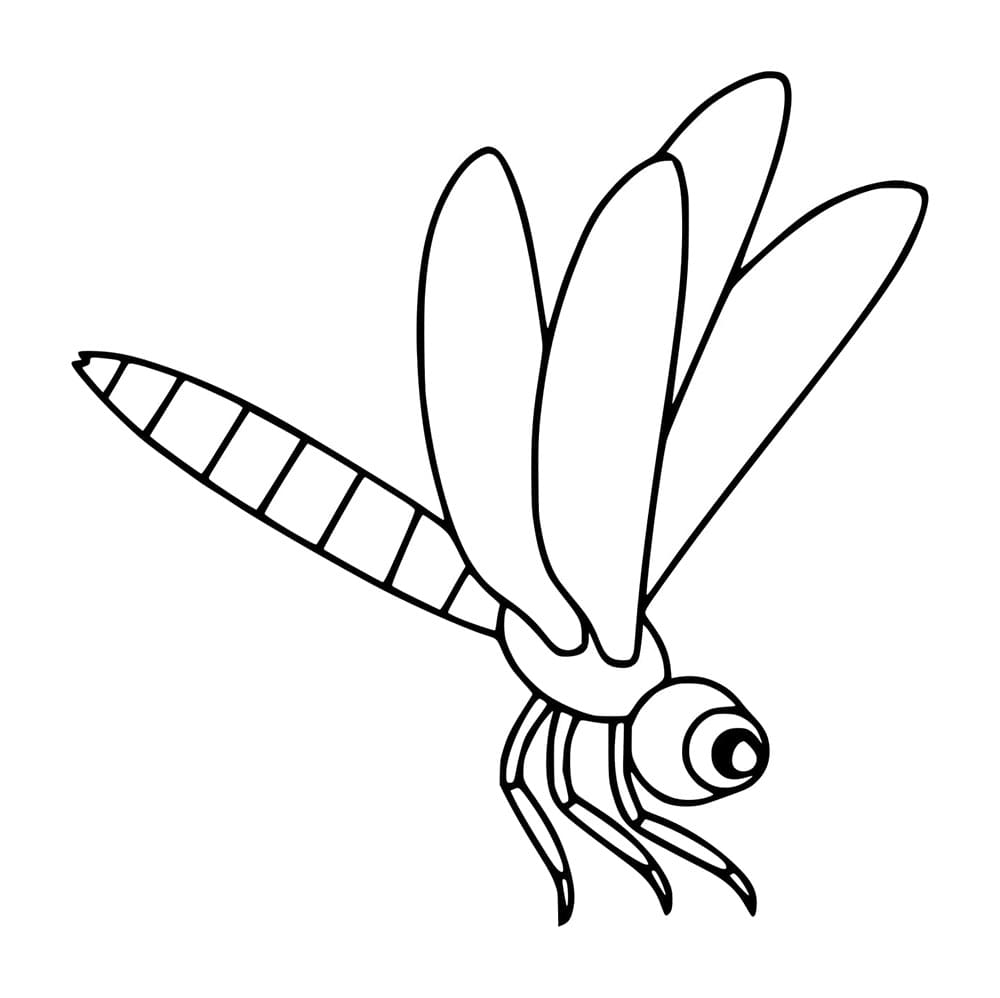 Capung Mudah dan Sederhana