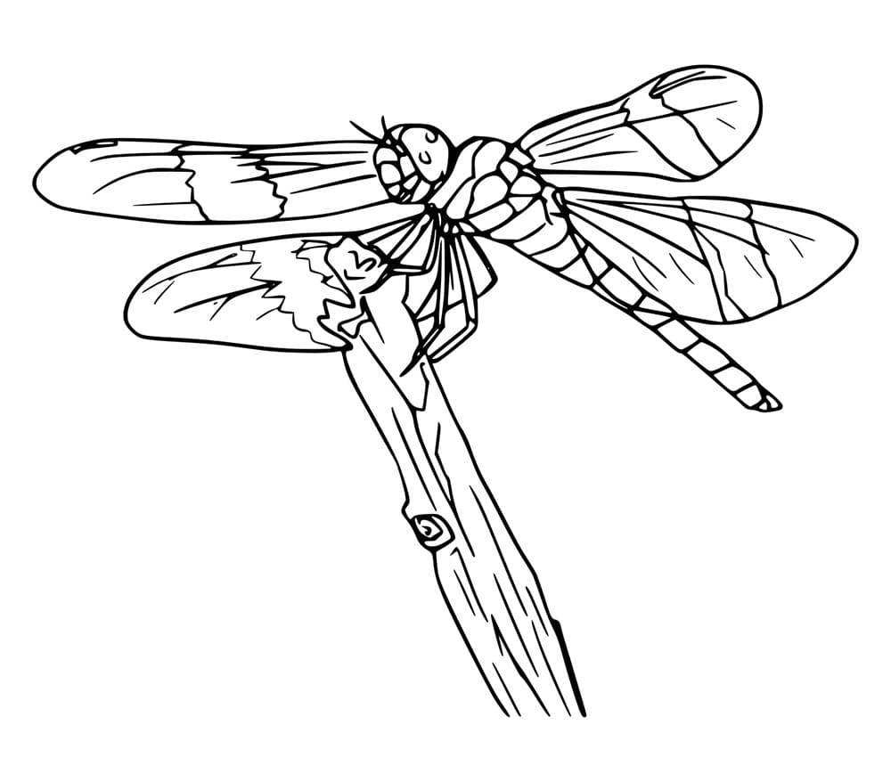 Capung Realistis di Pohon