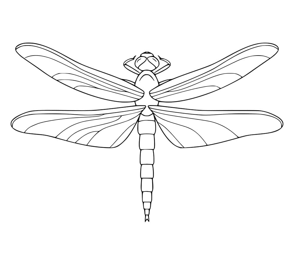 Capung Realistis Mudah