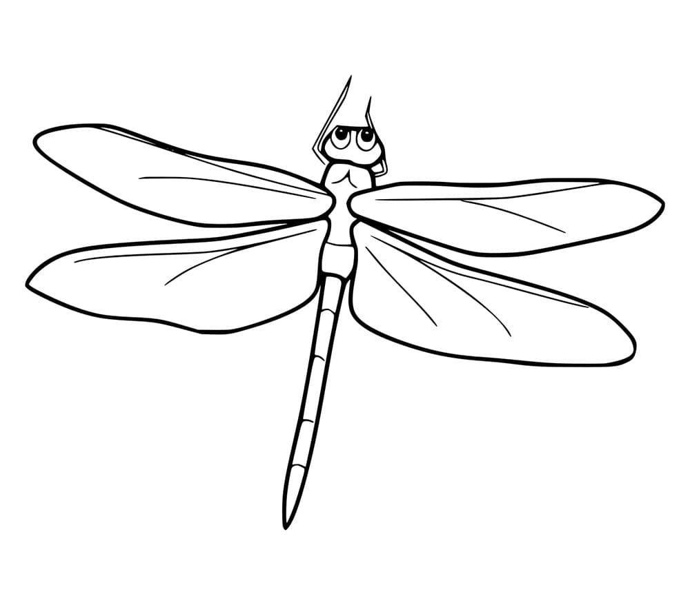 Capung Sederhana dan Mudah