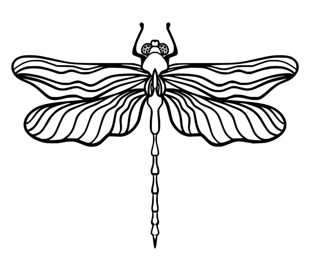 Capung Sederhana nan Indah