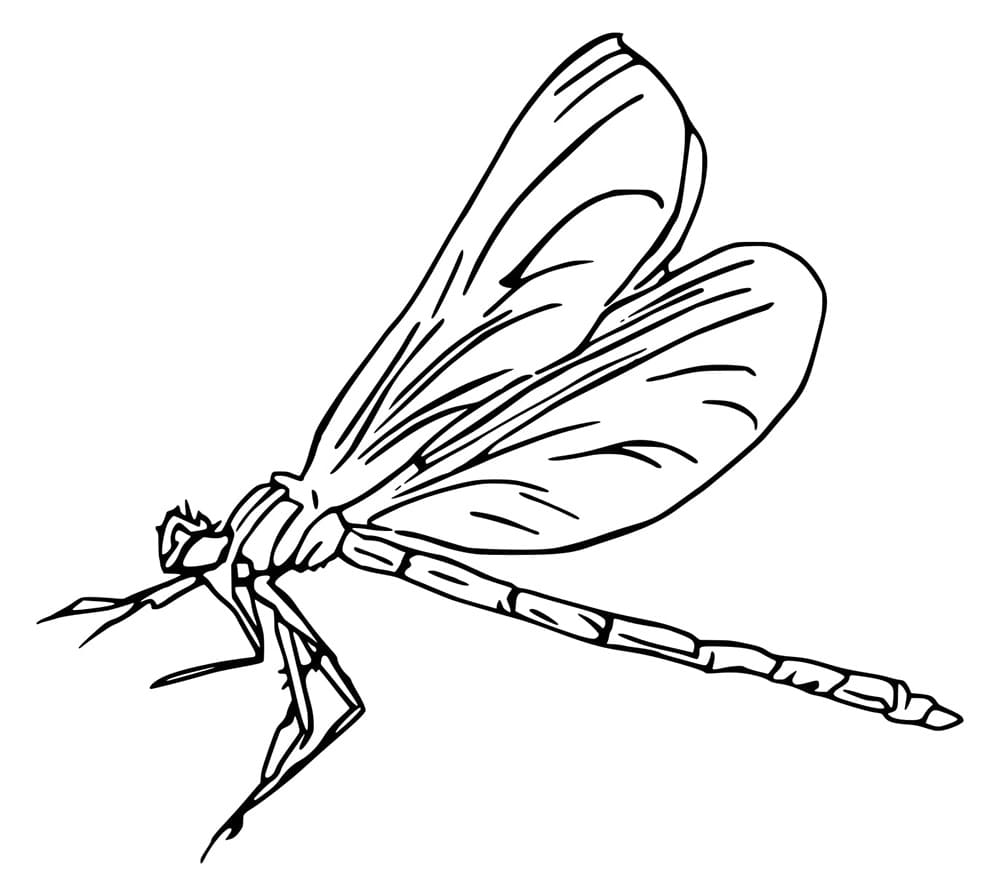 Capung Terbang Realistis