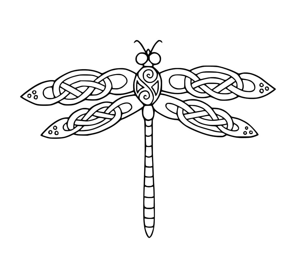 Gambar Capung Yang Indah