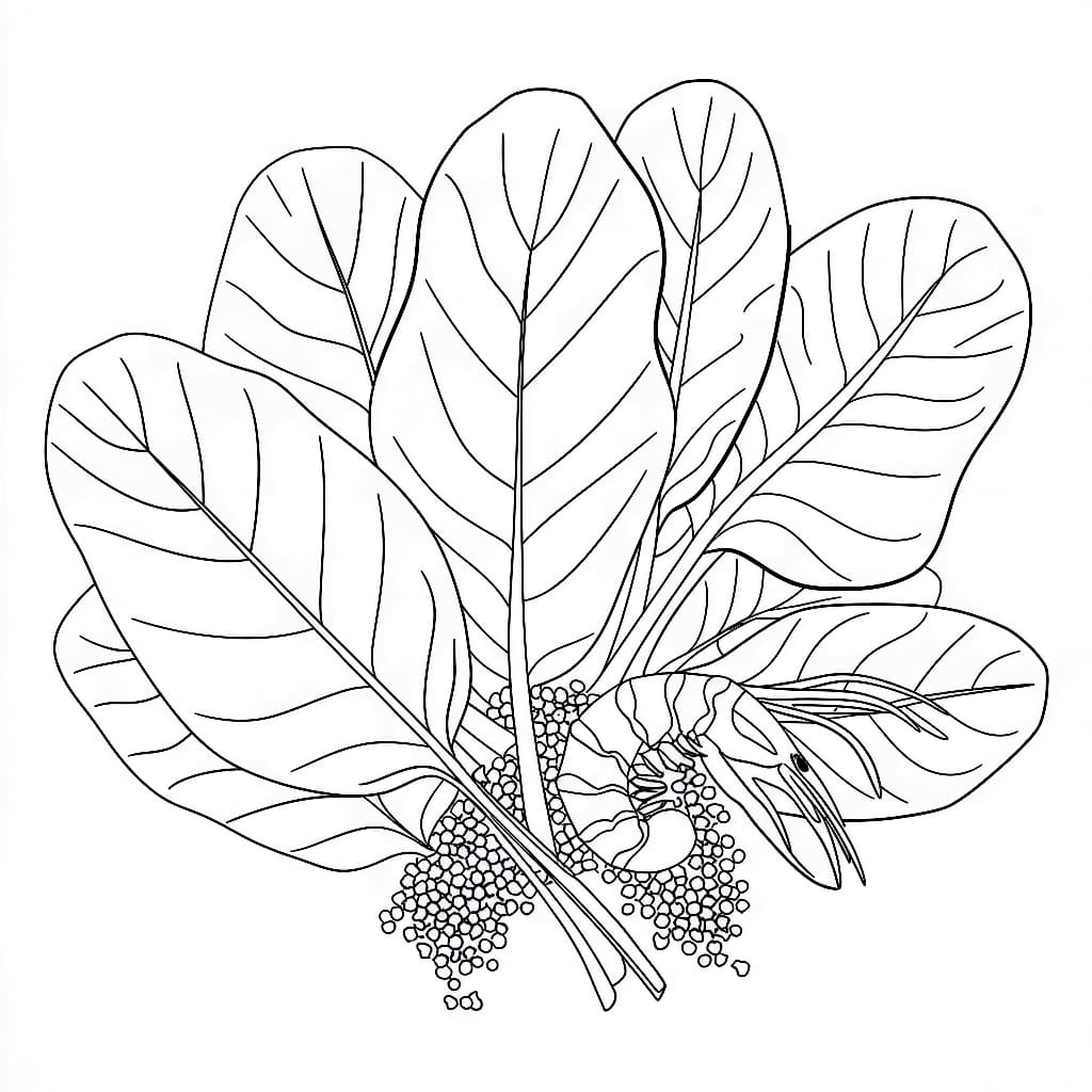 Sayur Bayam dengan udang