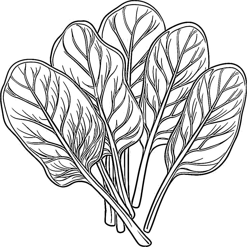 Sayur Bayam Sederhana