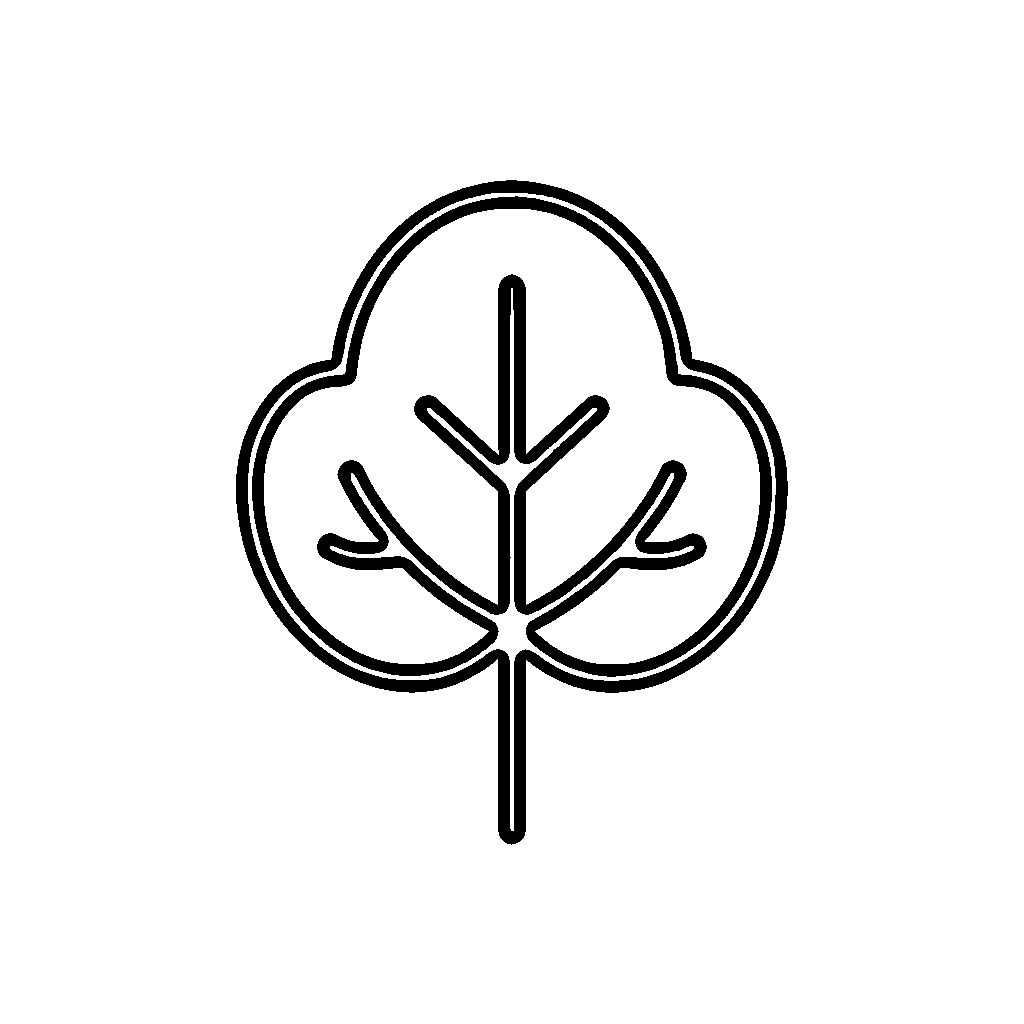 Sayur Bayam untuk anak-anak