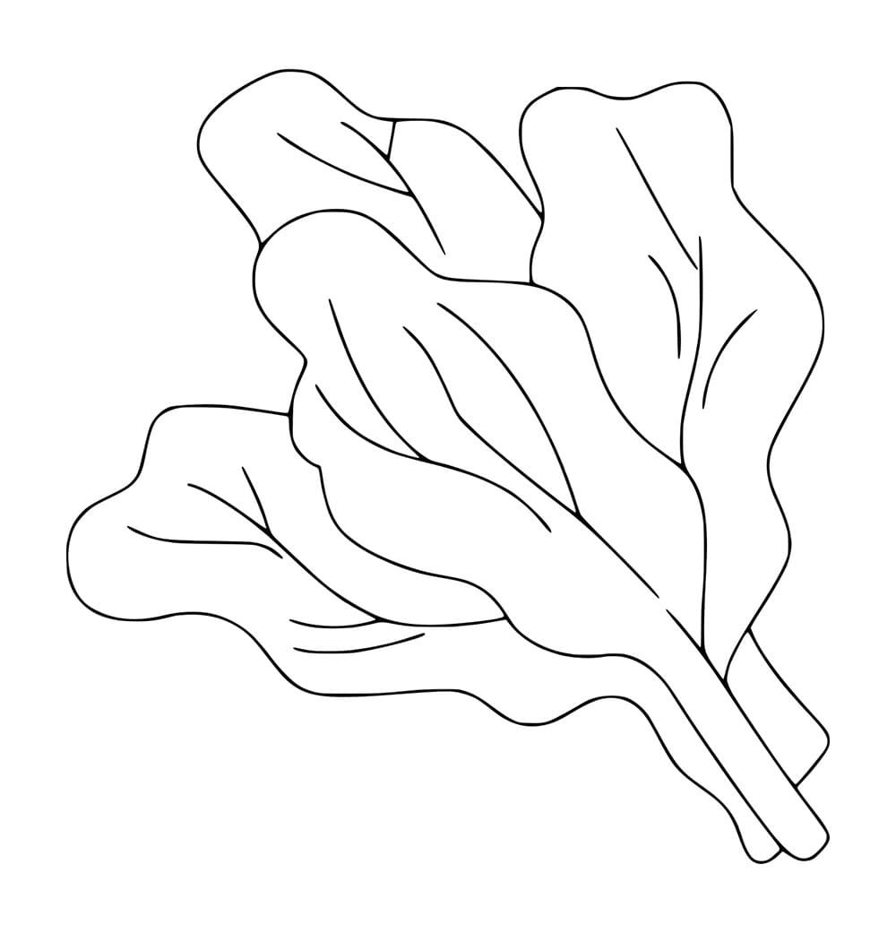 Sayur Bayam yang sangat sederhana