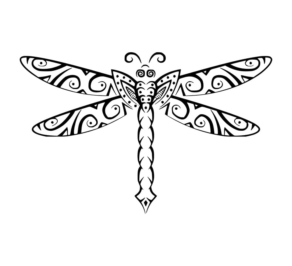 Seni Capung yang Indah