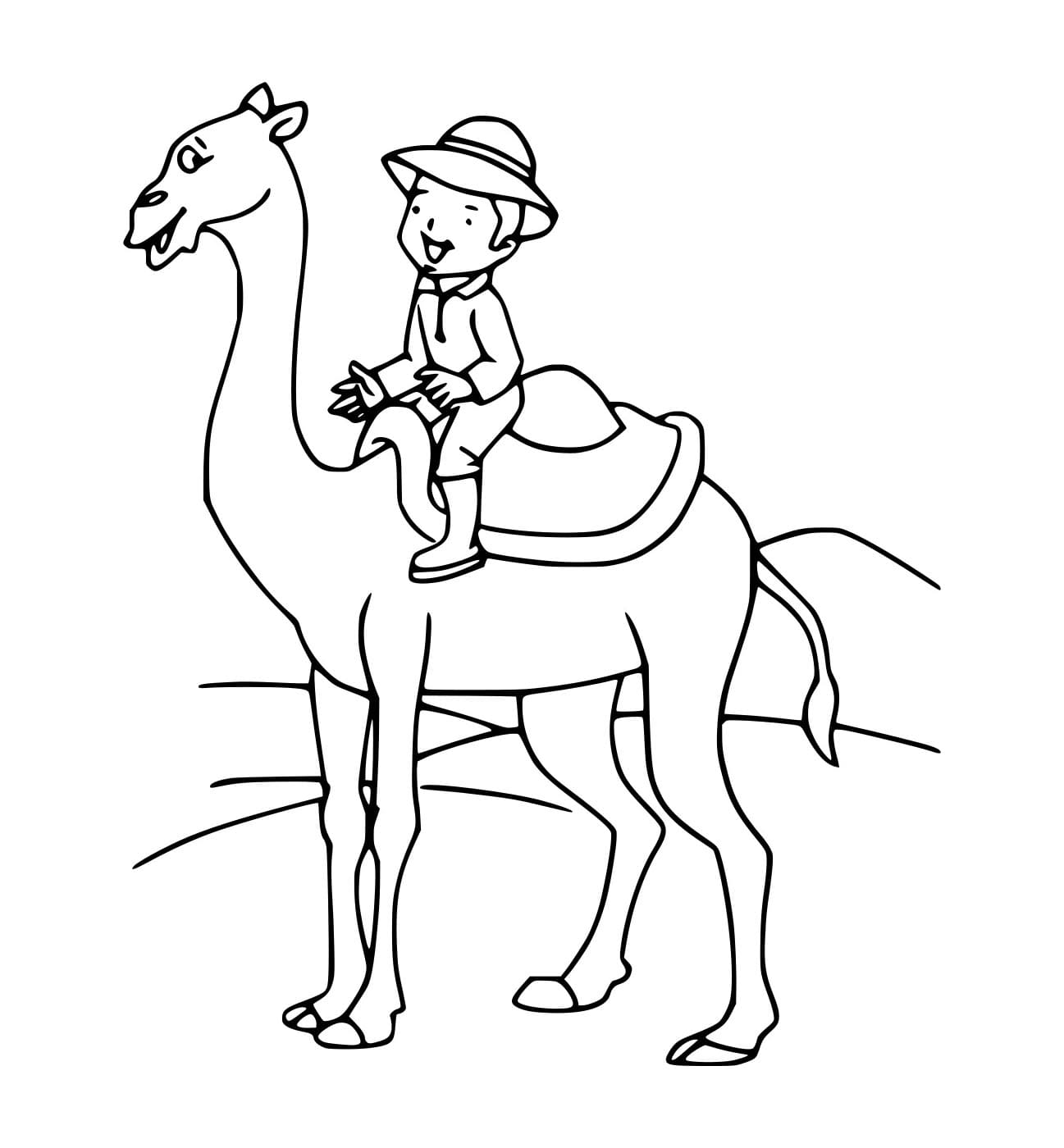 Anak Kecil Menunggangi Unta