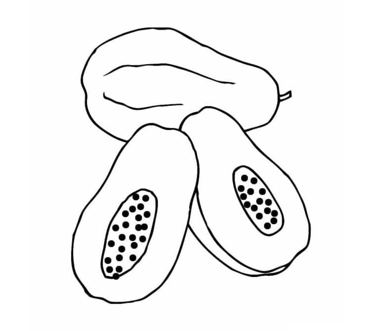 Buah pepaya untuk dicetak