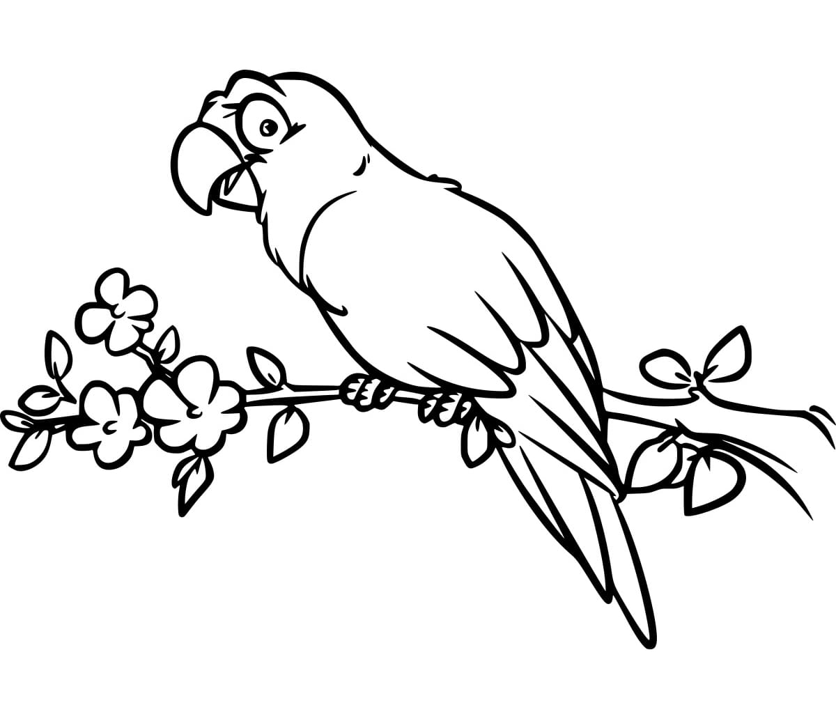 Burung Beo dan Bunga