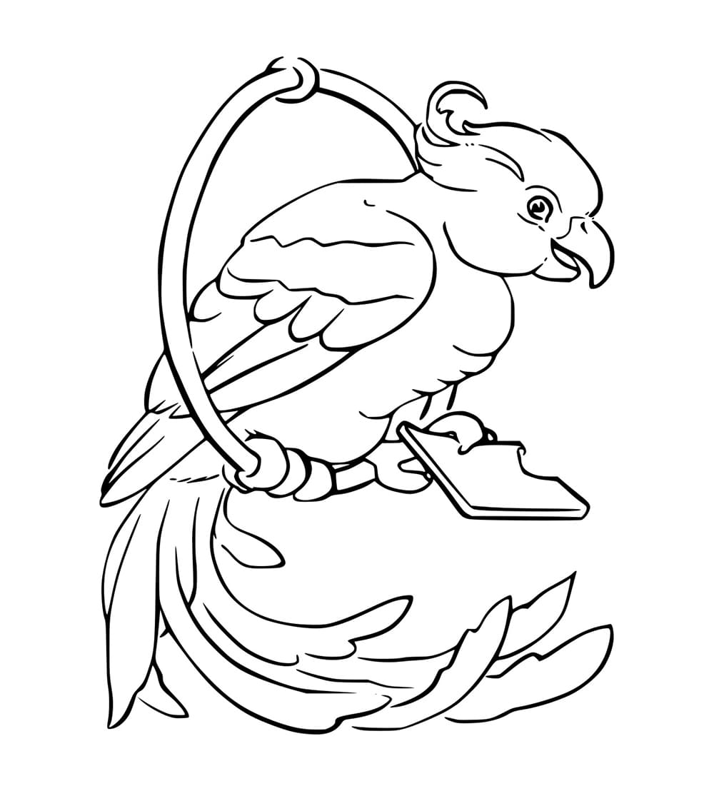 Burung beo di ayunan