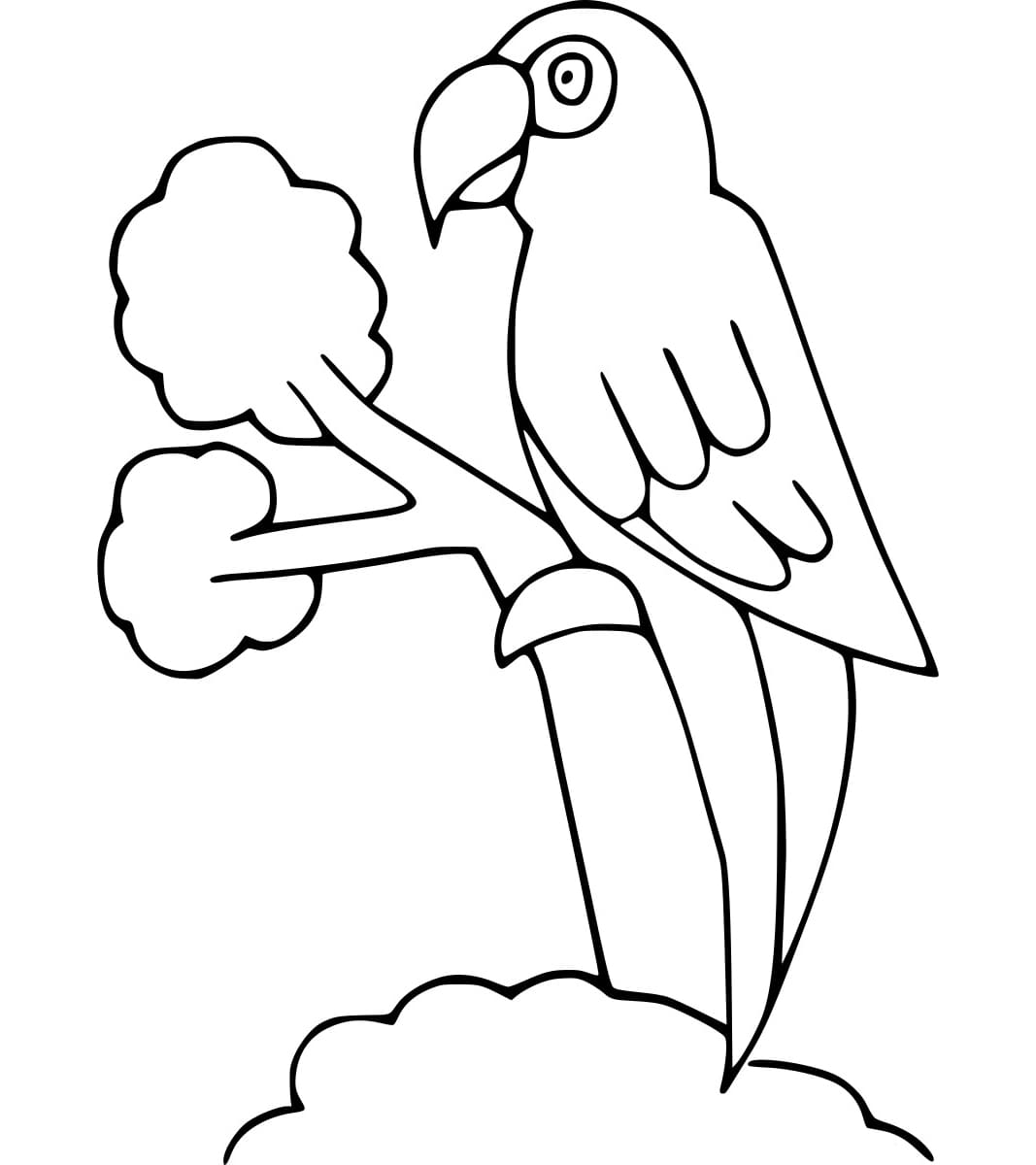 Burung Beo Mudah di Pohon