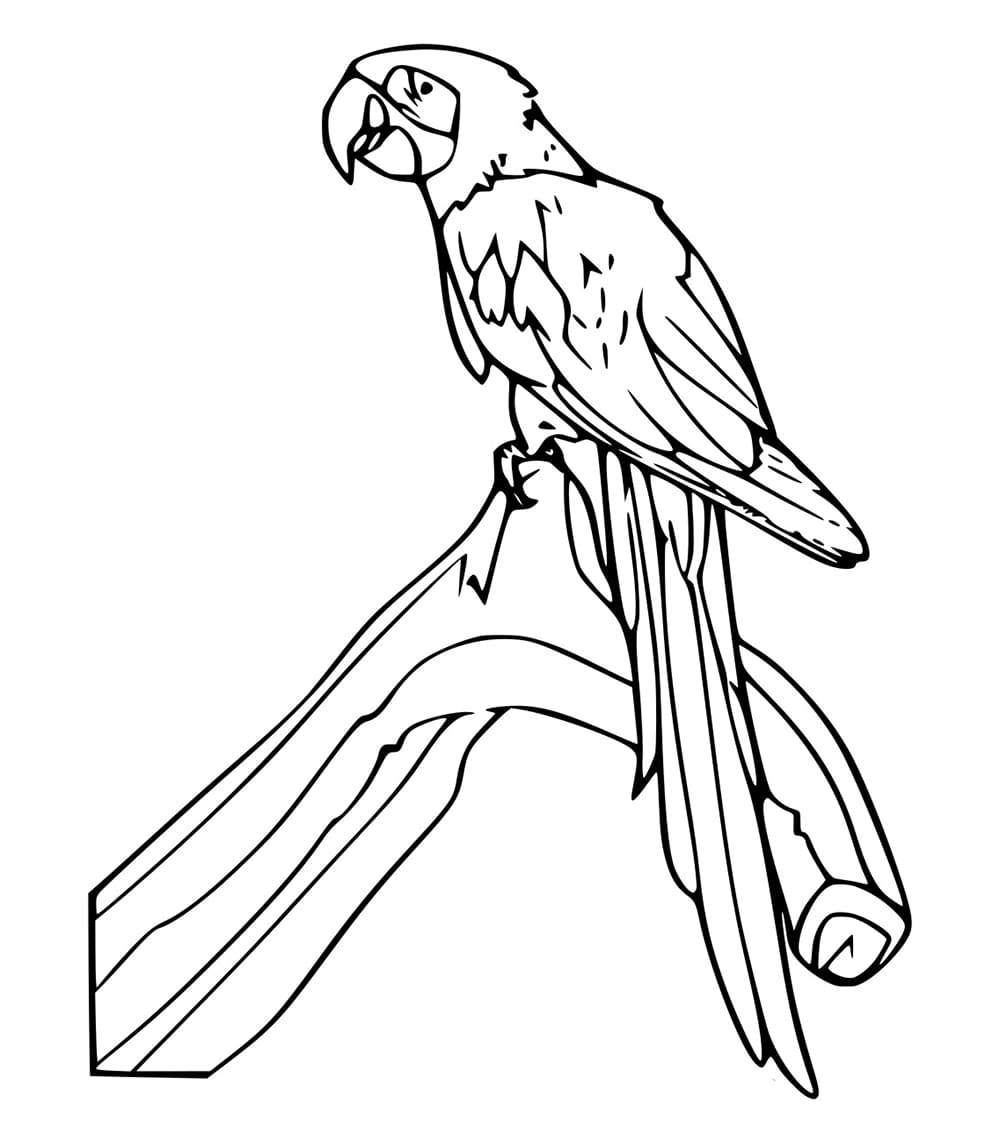 Burung Beo Realistis di Pohon