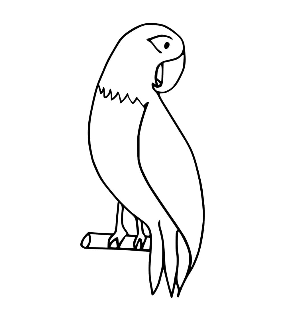 Burung Beo Sangat Mudah