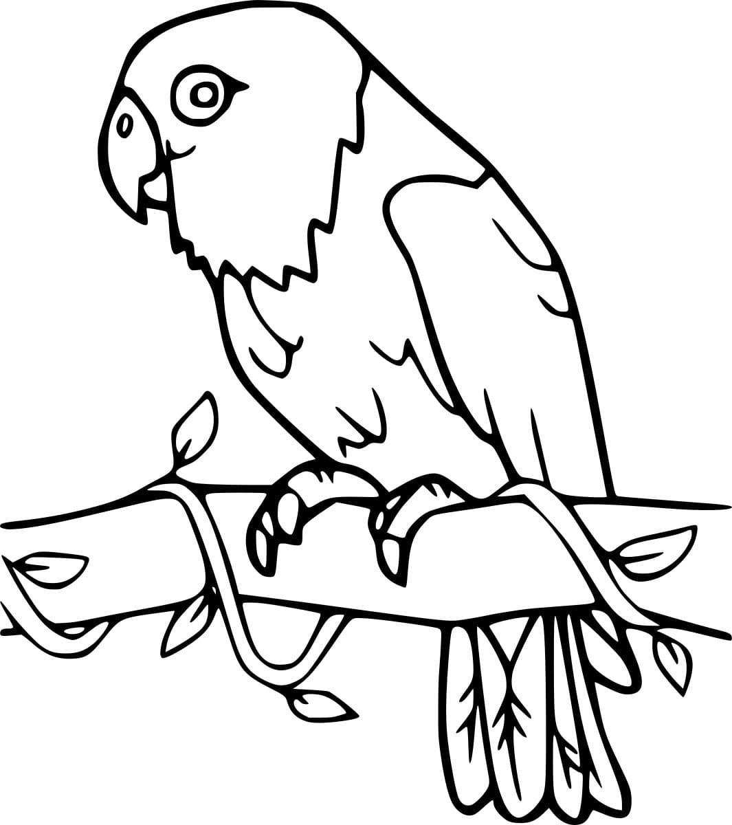 Burung Beo Sederhana di Pohon