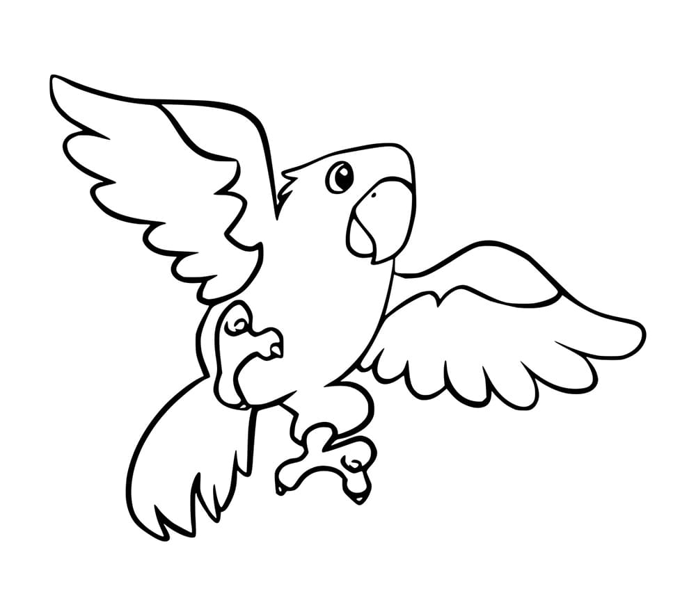 Burung Beo Terbang Sederhana